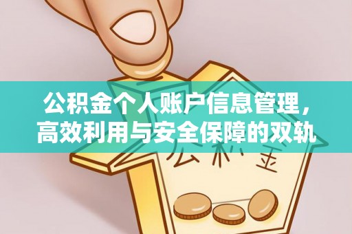 芦山公积金个人账户信息管理，高效利用与安全保障的双轨并行