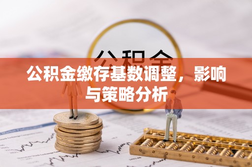 芦山公积金缴存基数调整，影响与策略分析